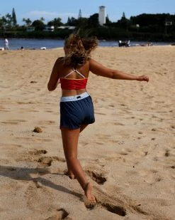 Nani Swimwear Colorblock Blues Hybrid Explorer Short 17 Nani Swimwear Colorblock Blues Hybrid Explorer Short