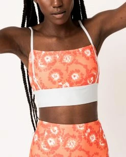 Nani Swimwear Hattie Surf Crop 15 Nani Swimwear Hattie Surf Crop